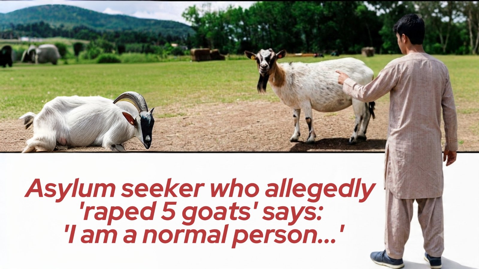 Asylum seeker who  allegedly  'raped 5 goats' says: 'I am a normal person...'