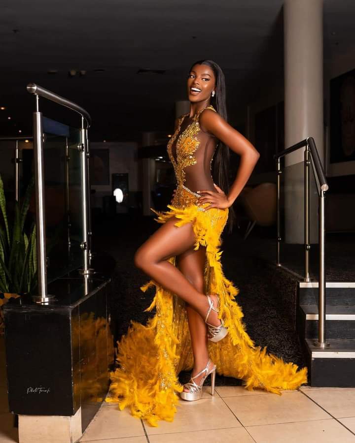 Chidinma Adetshina Crowned Miss Universe Nigeria 2024