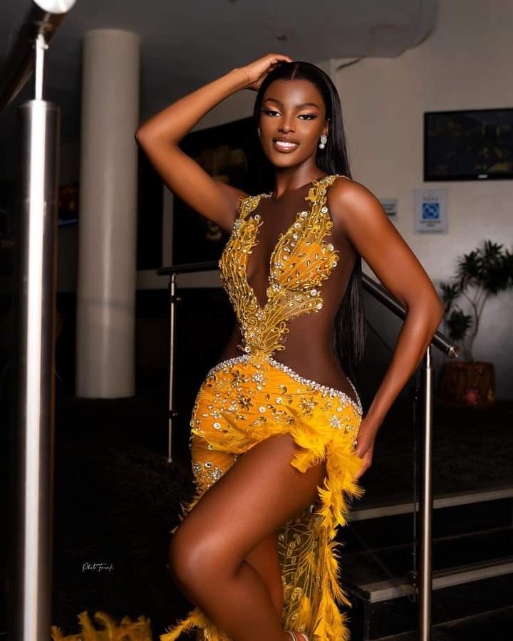 Chidinma Adetshina Crowned Miss Universe Nigeria 2024