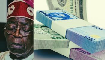 Why is the Naira steadily crashing under Tinubu?